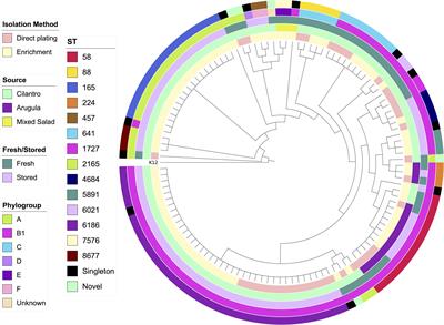 Whole Genome Sequencing of Escherichia coli From Store-Bought Produce